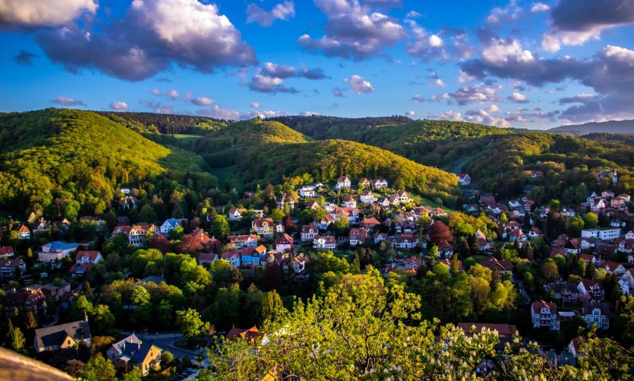 Chalet Mit Schlossblick Wernigerode, Chalet 2 Kültér fotó